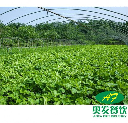 武漢蔬菜配送的運作流程是怎樣的？